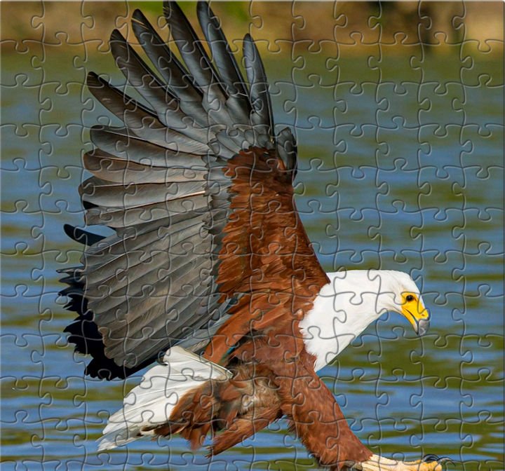 eagel-printable-landing